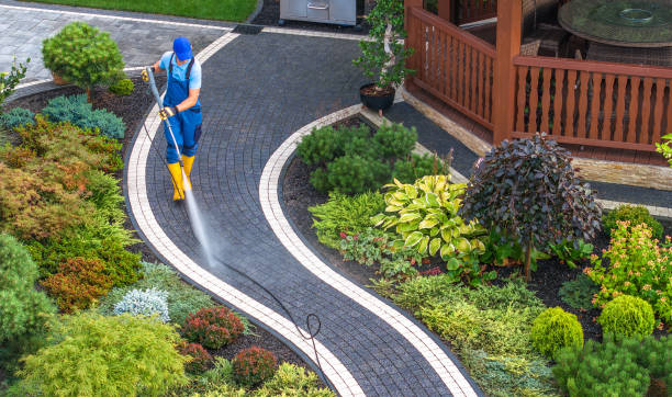 Best Affordable Pressure Washing  in Deephaven, MN