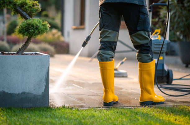 Best Local Pressure Washing Services  in Deephaven, MN